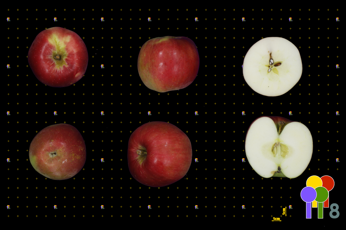 plaatje niet gevonden