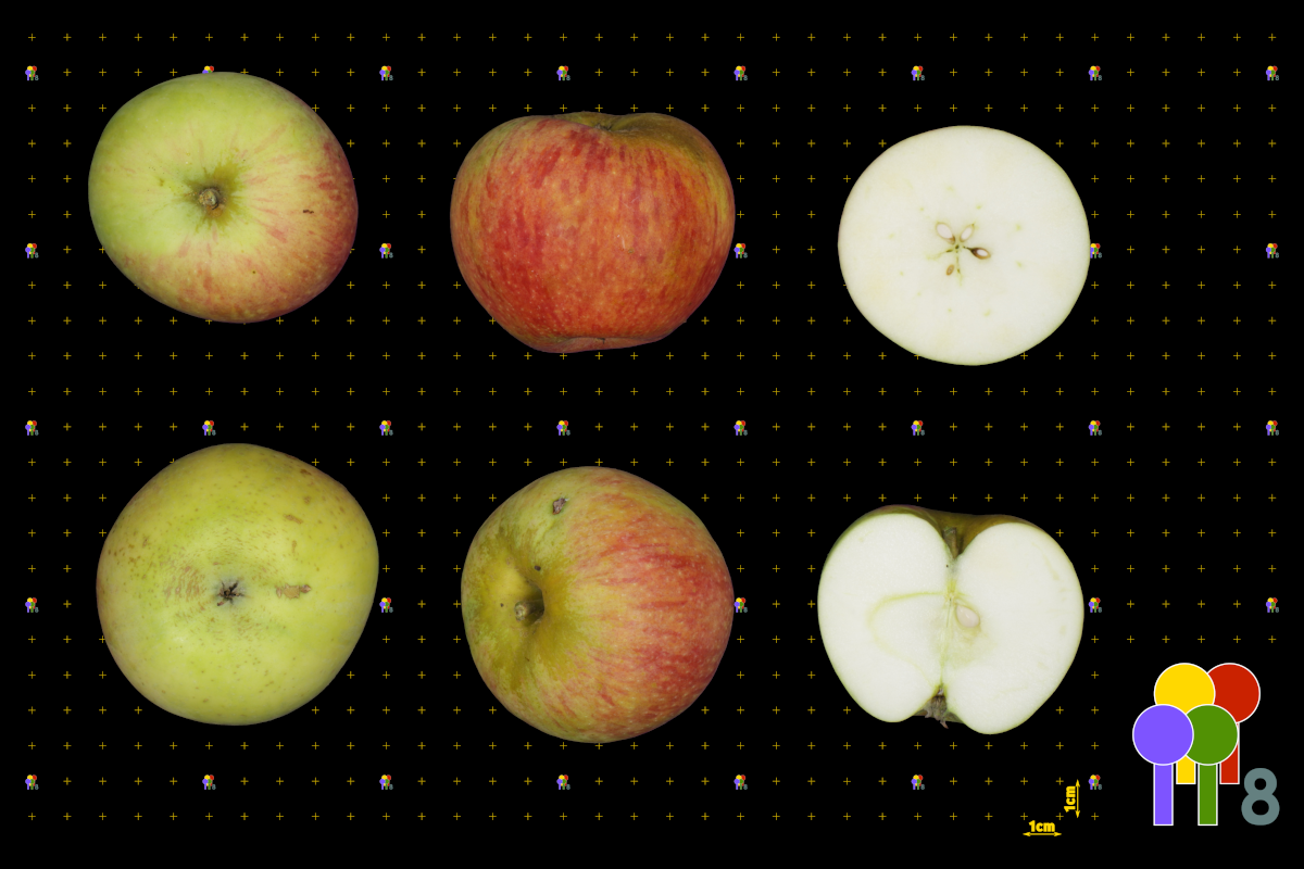 plaatje niet gevonden