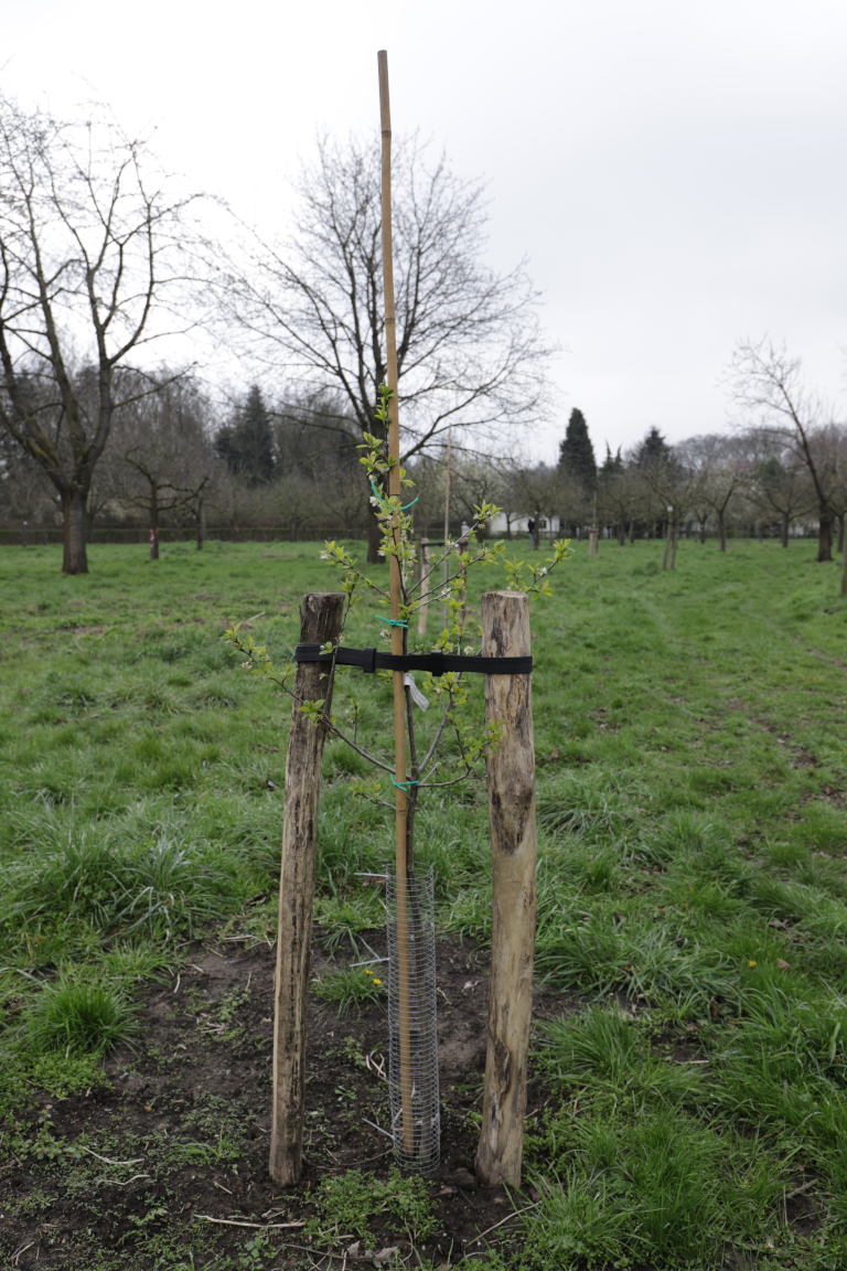 plaatje niet gevonden