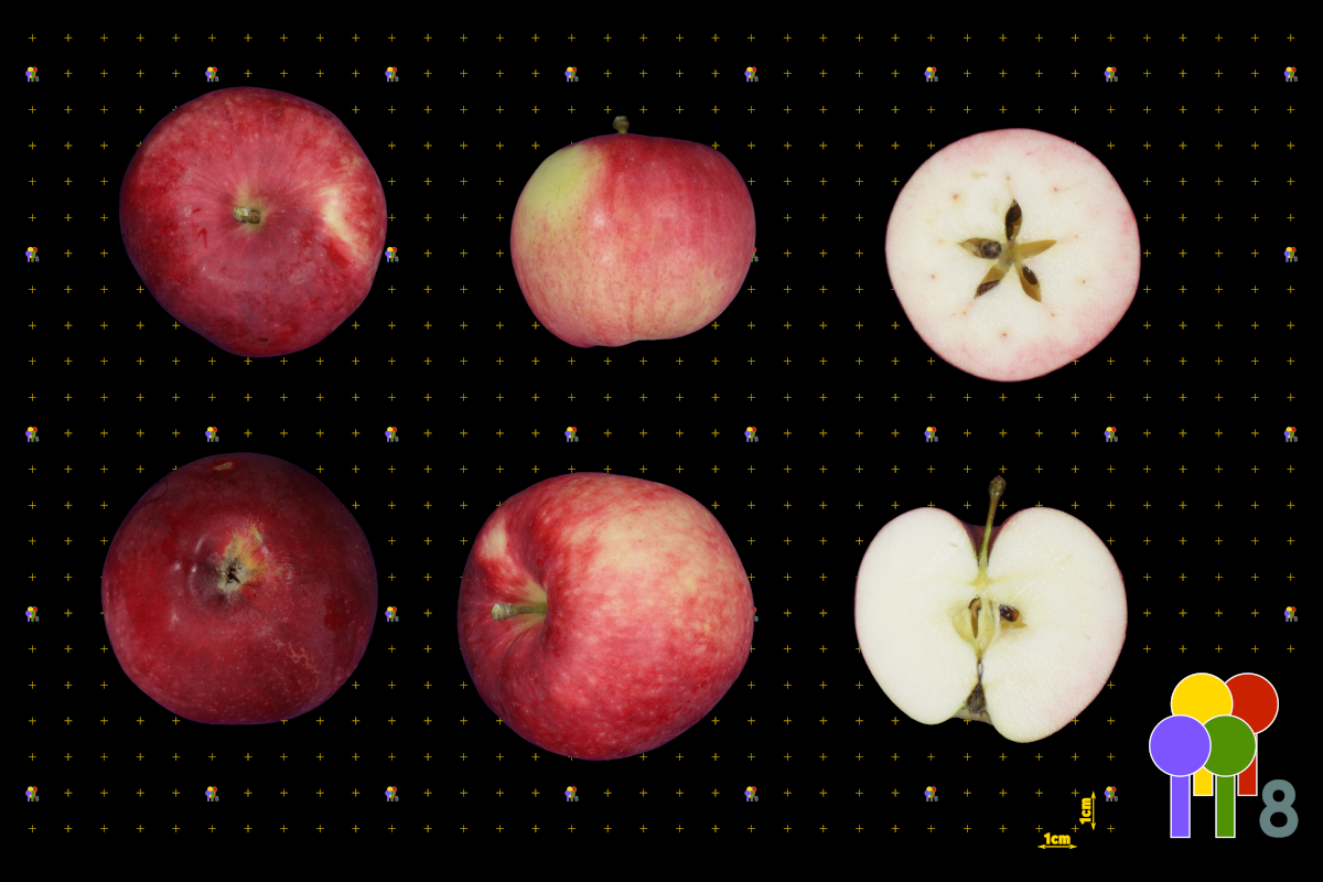 plaatje niet gevonden