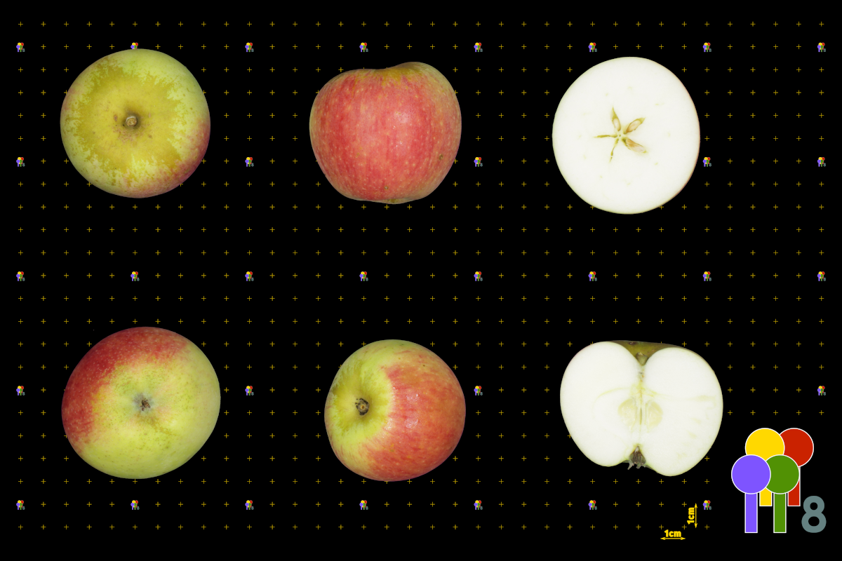 plaatje niet gevonden