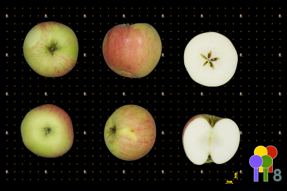 plaatje niet gevonden