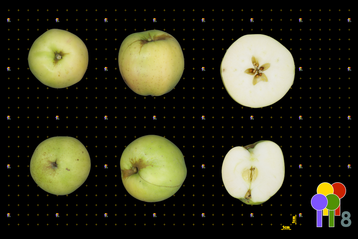 plaatje niet gevonden