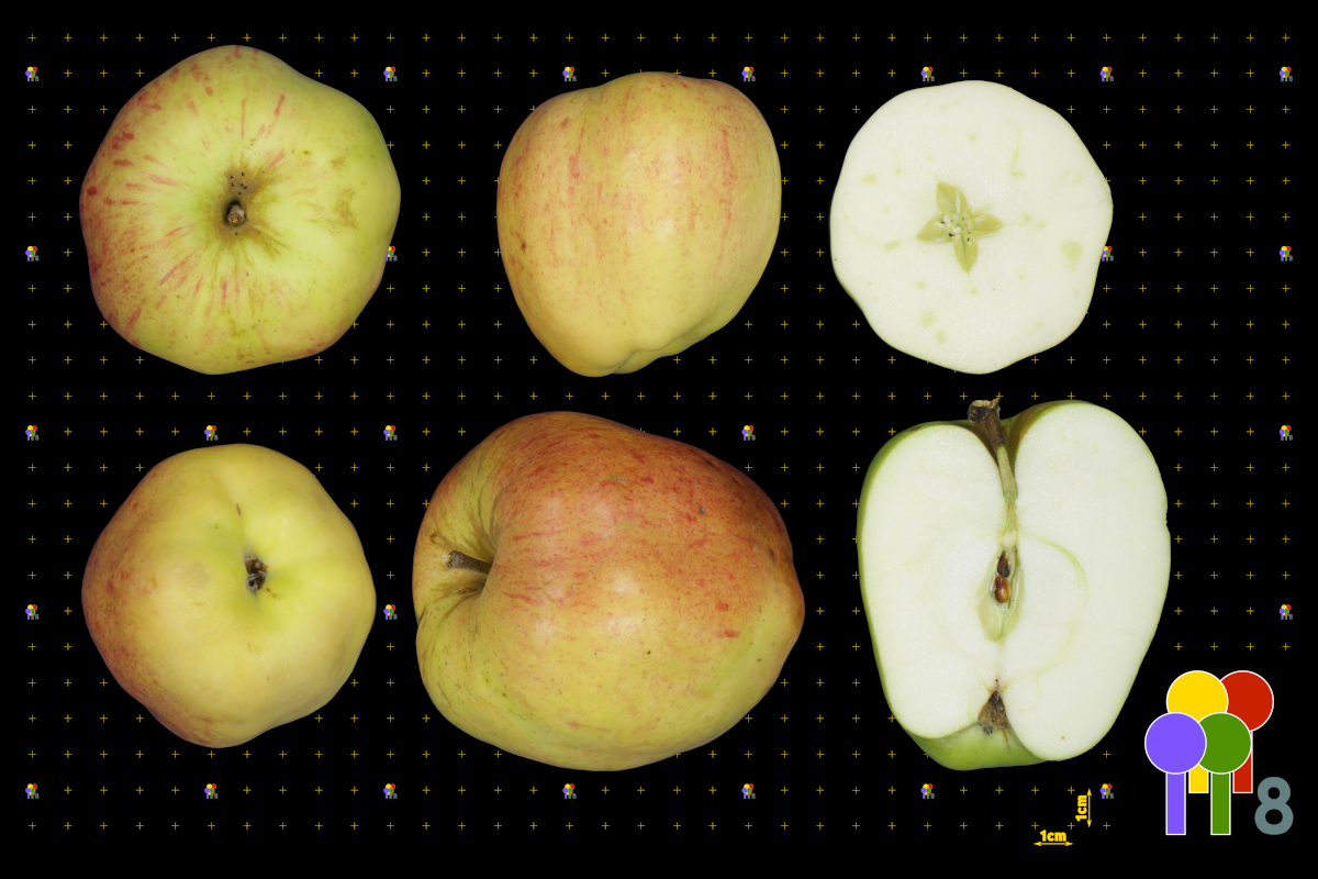 plaatje niet gevonden