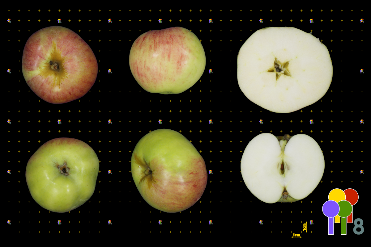 plaatje niet gevonden