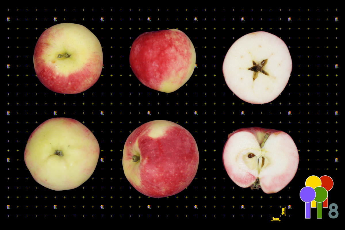 plaatje niet gevonden