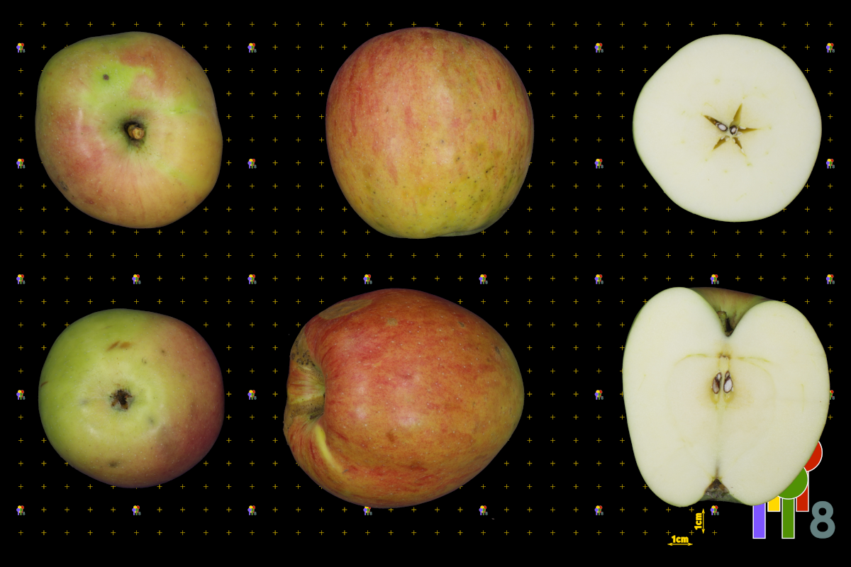 plaatje niet gevonden