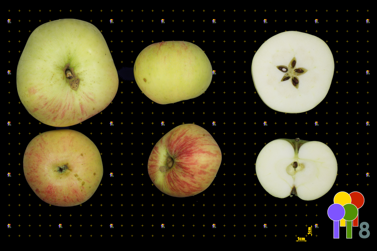 plaatje niet gevonden