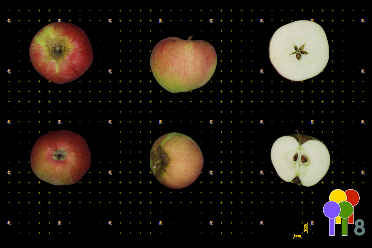 plaatje niet gevonden