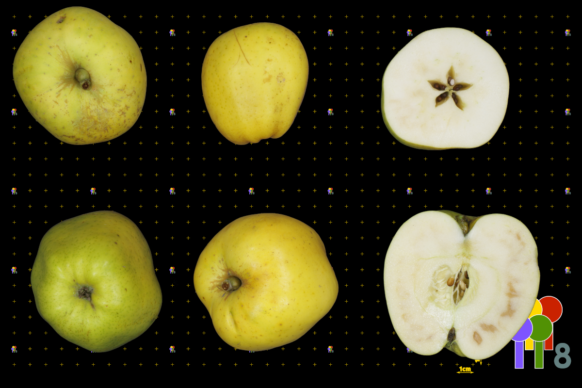 plaatje niet gevonden