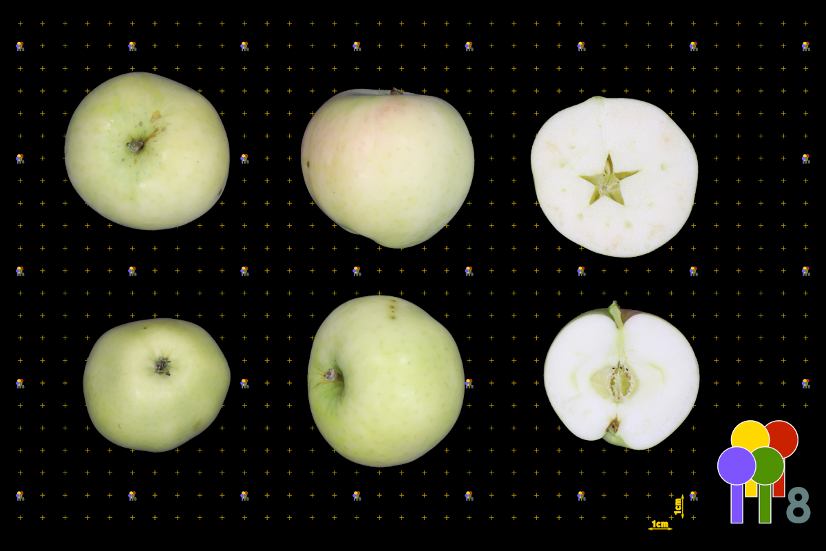 plaatje niet gevonden