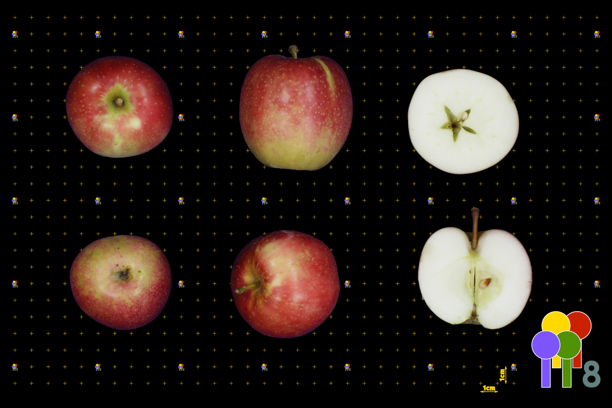 plaatje niet gevonden