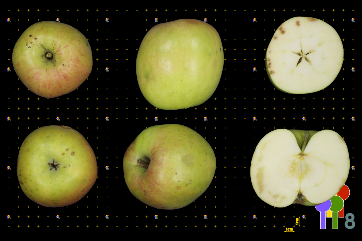 plaatje niet gevonden