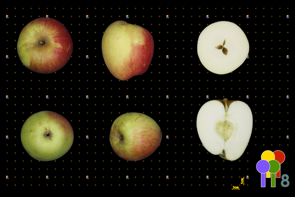 plaatje niet gevonden