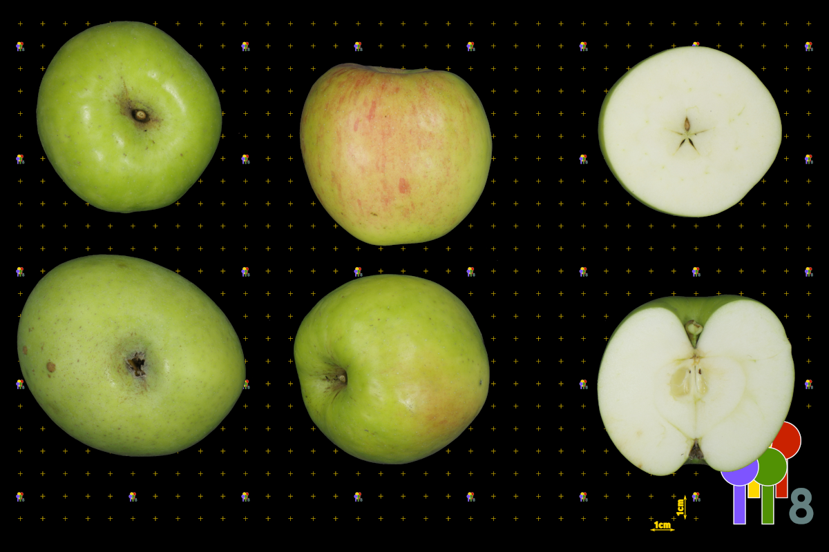 plaatje niet gevonden