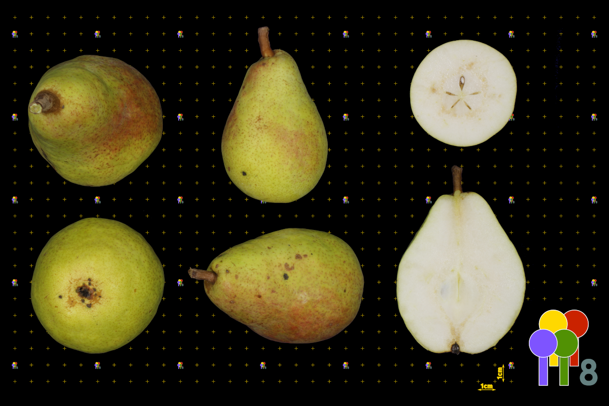 plaatje niet gevonden