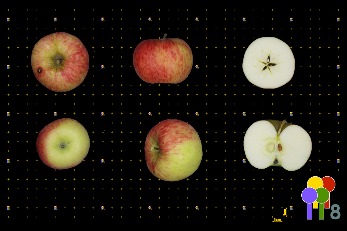 plaatje niet gevonden