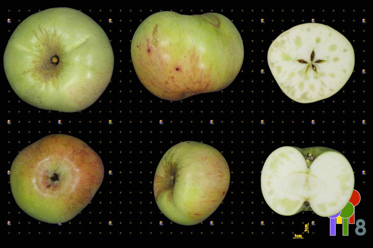 plaatje niet gevonden