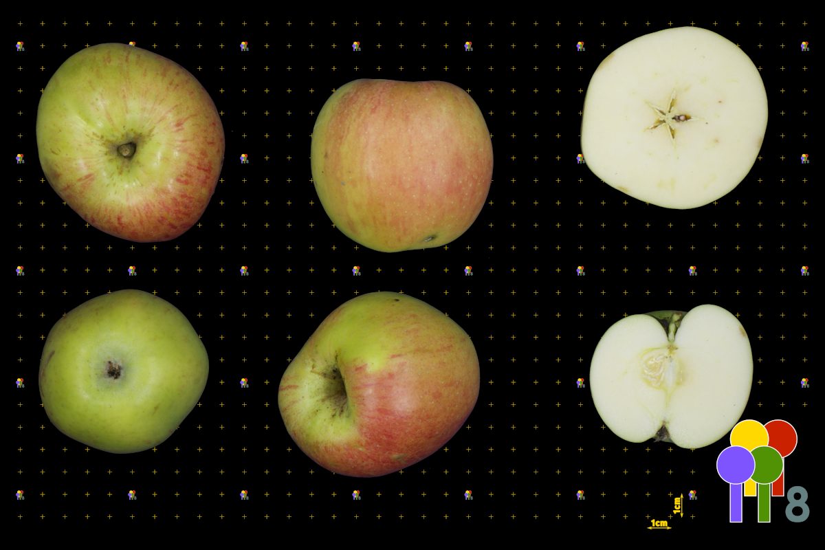 plaatje niet gevonden