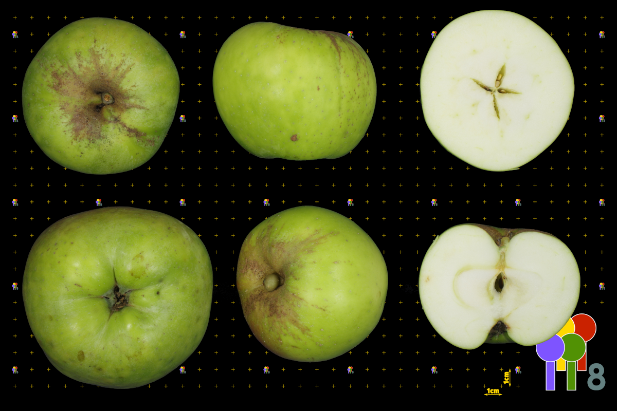 plaatje niet gevonden